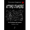 Attimi d'amore